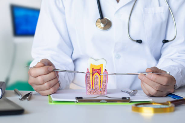 Best Pediatric Emergency Dentist in Colma, CA